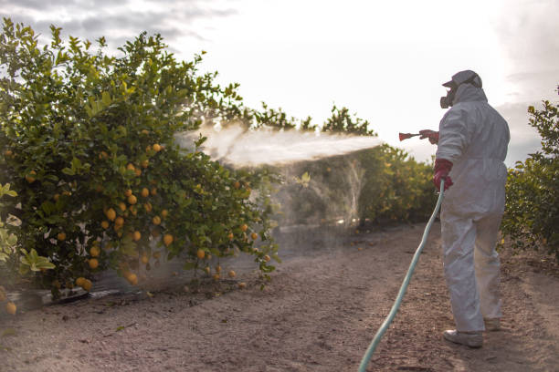 Pest Control for Restaurants in Maywood, IL