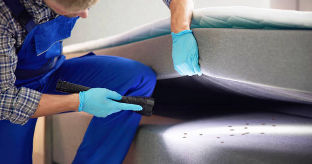 Reliable Maywood, IL Pest Control Solutions