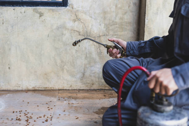 Best Wasp Removal Services  in Maywood, IL